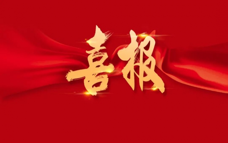 達到國際領先水平！榮程鋼鐵集團一項科技成果通過鑒定